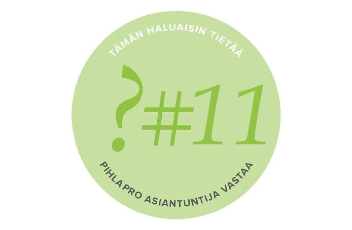 PihlaPROn asiantuntija vasta: Miksi ikkunan koolla on väliä?